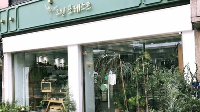 그린포레스트