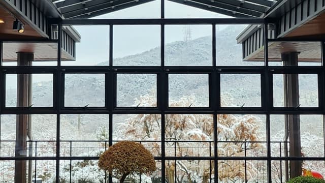 카페숨