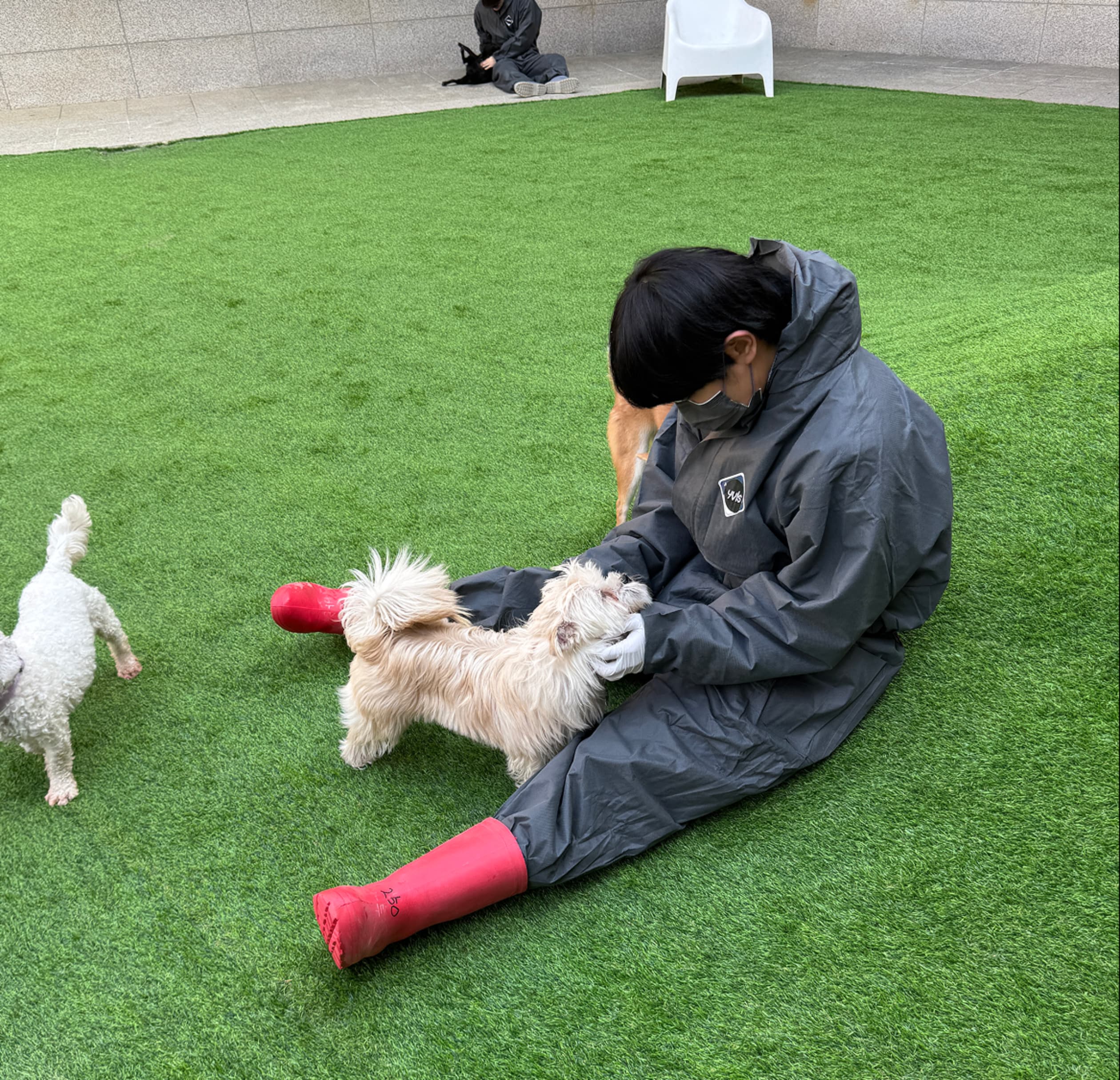 반려마루 경기여주