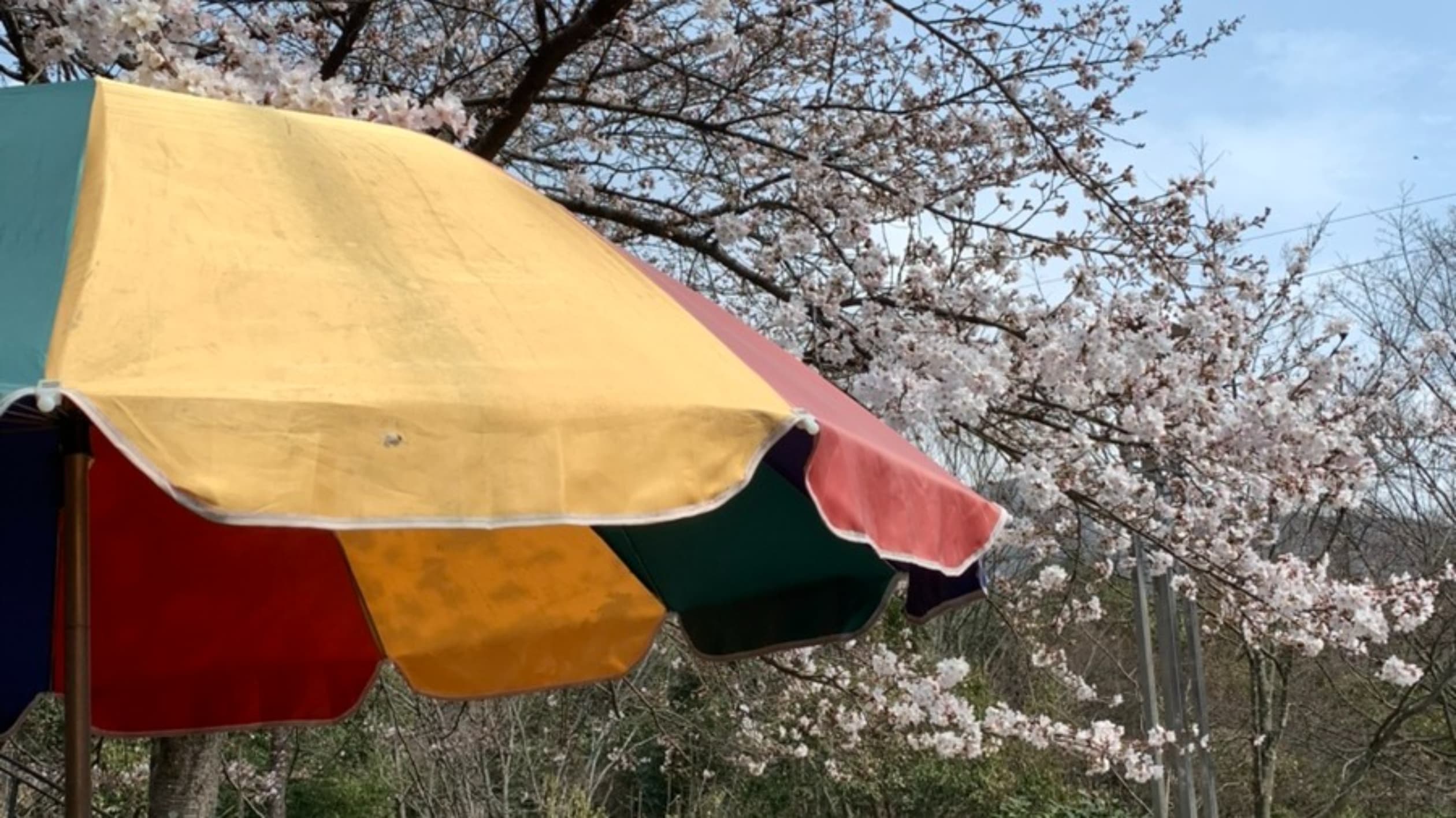 뚱돼지숯불갈비