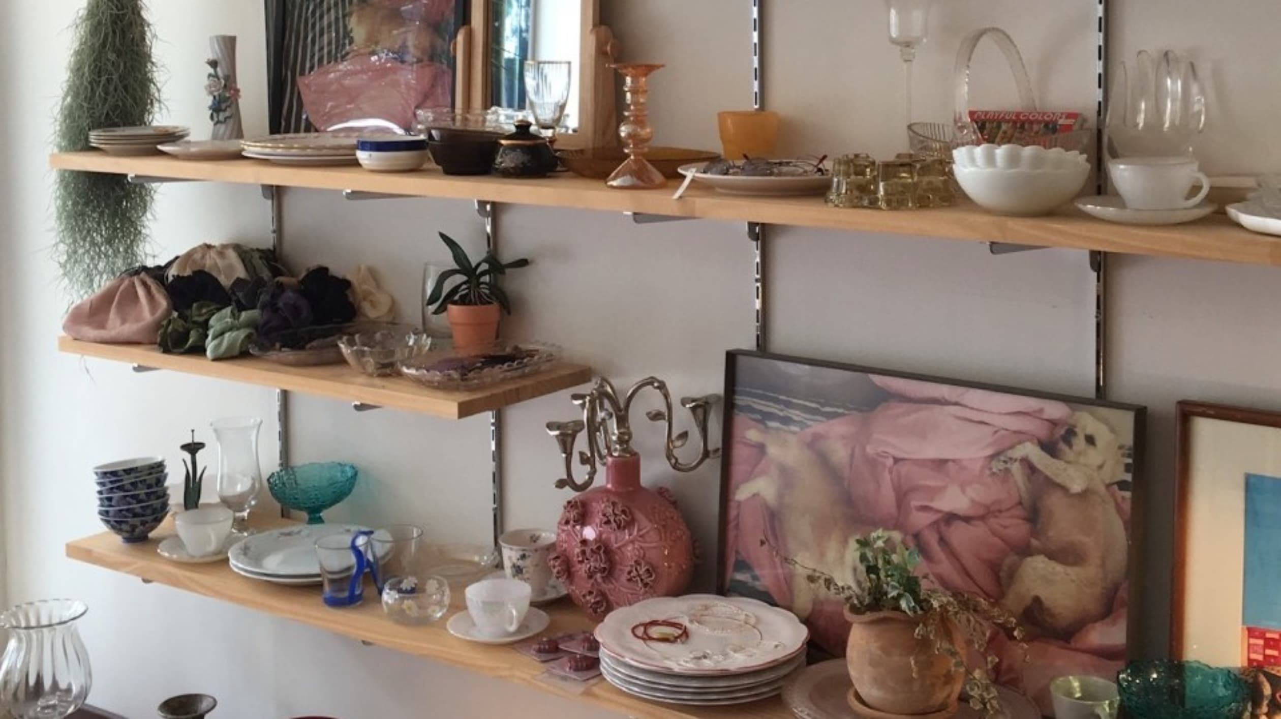 오래된 숲 성수 loveoldforest seongsu