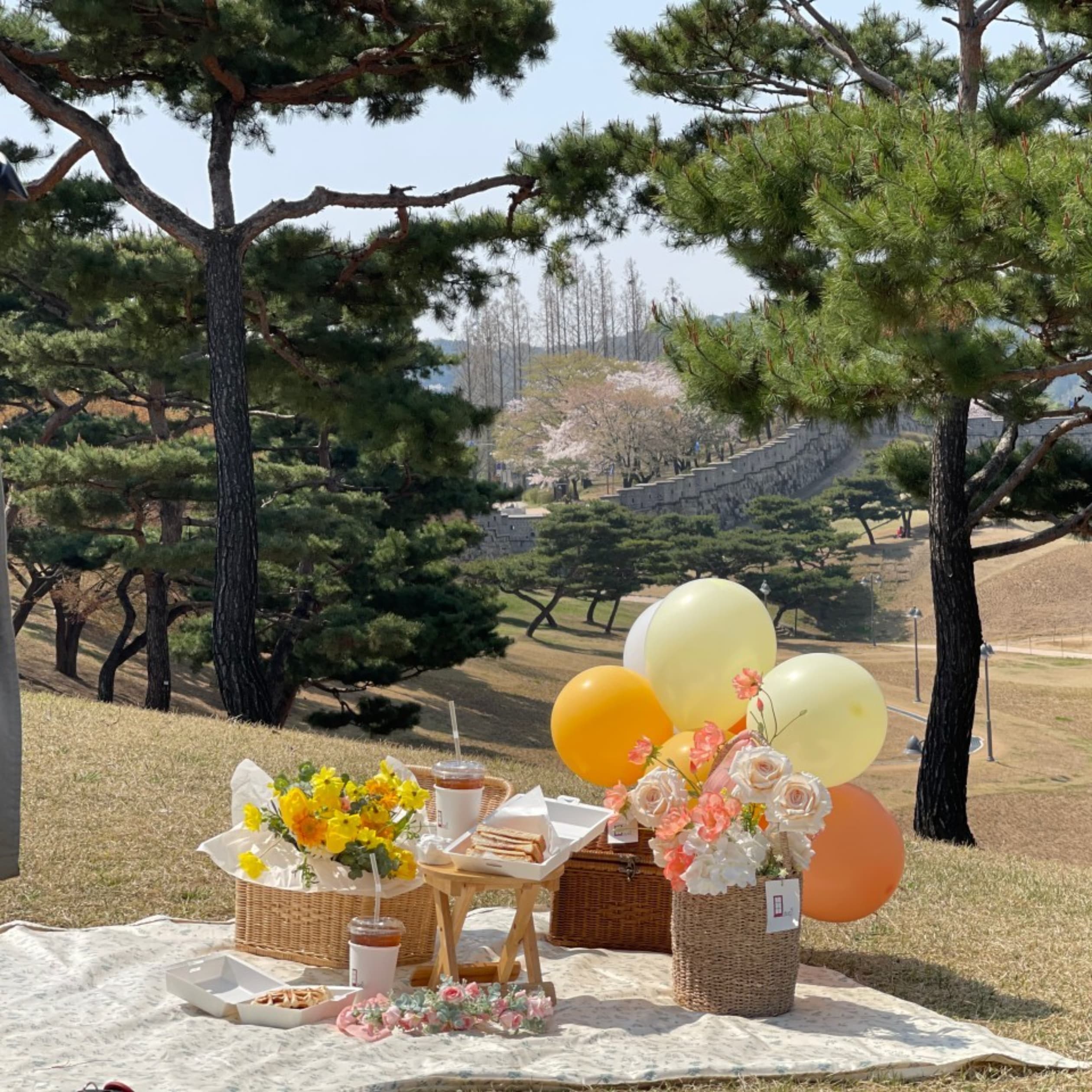 민플라워카페