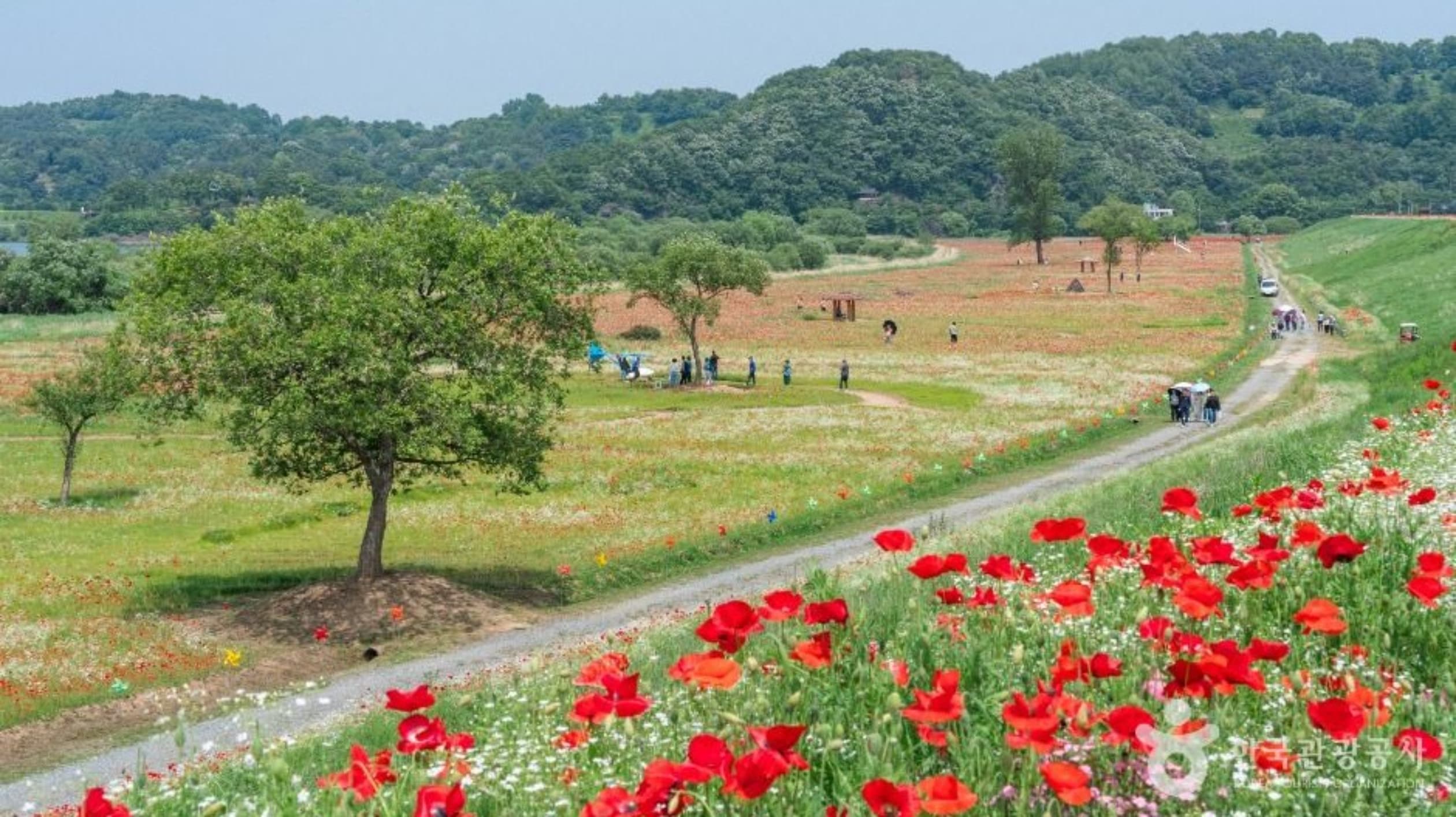 악양둑방