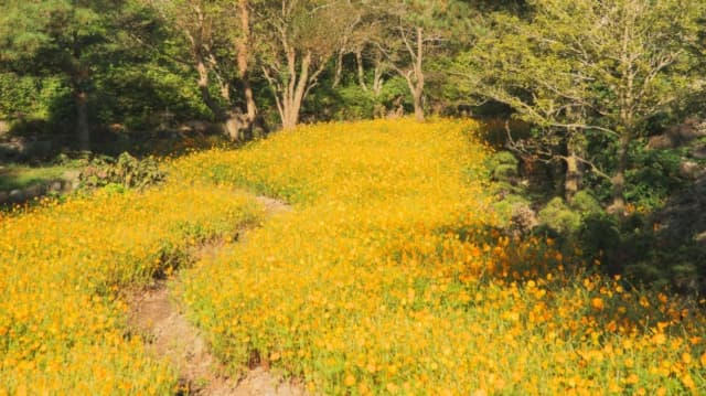 돌낭예술원
