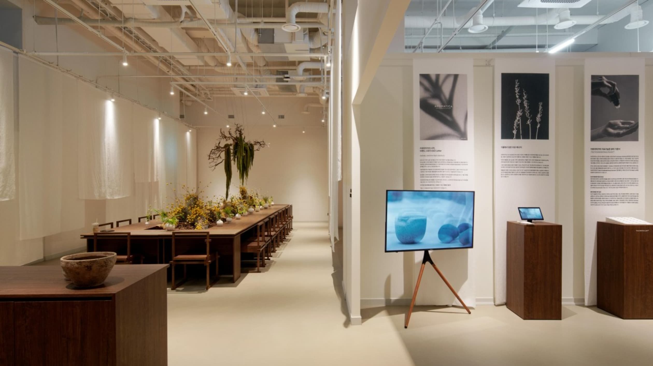 아로마티카 신사점