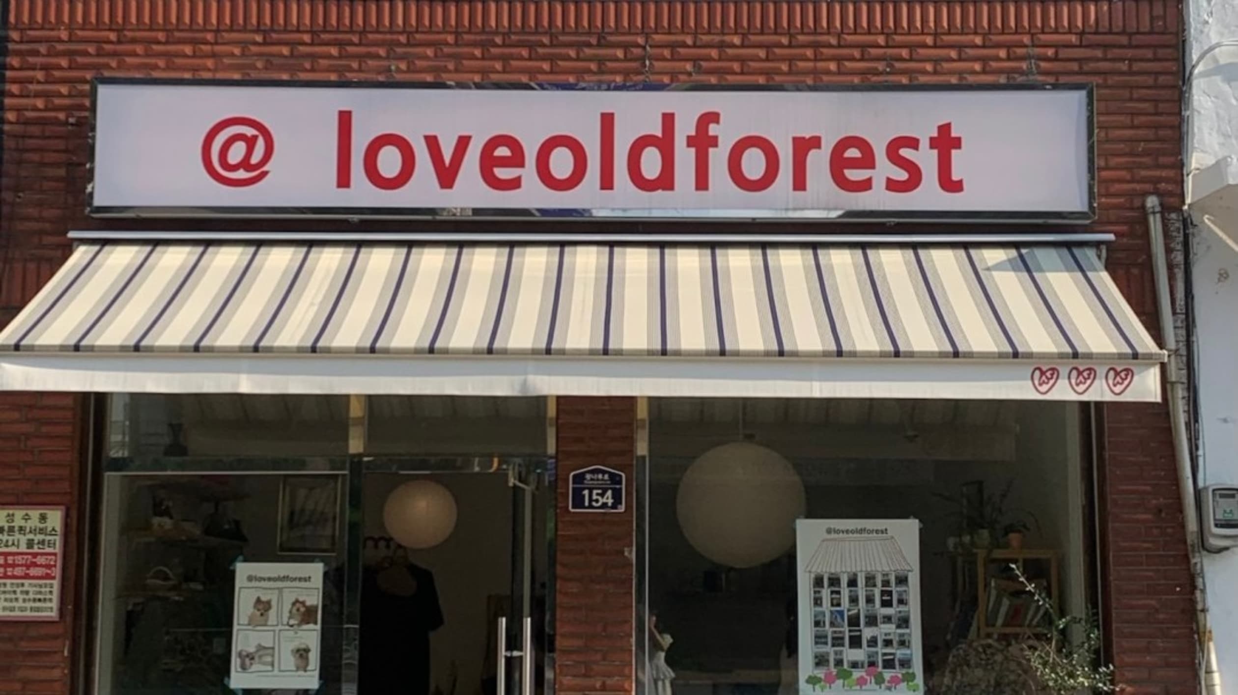 오래된 숲 성수 loveoldforest seongsu