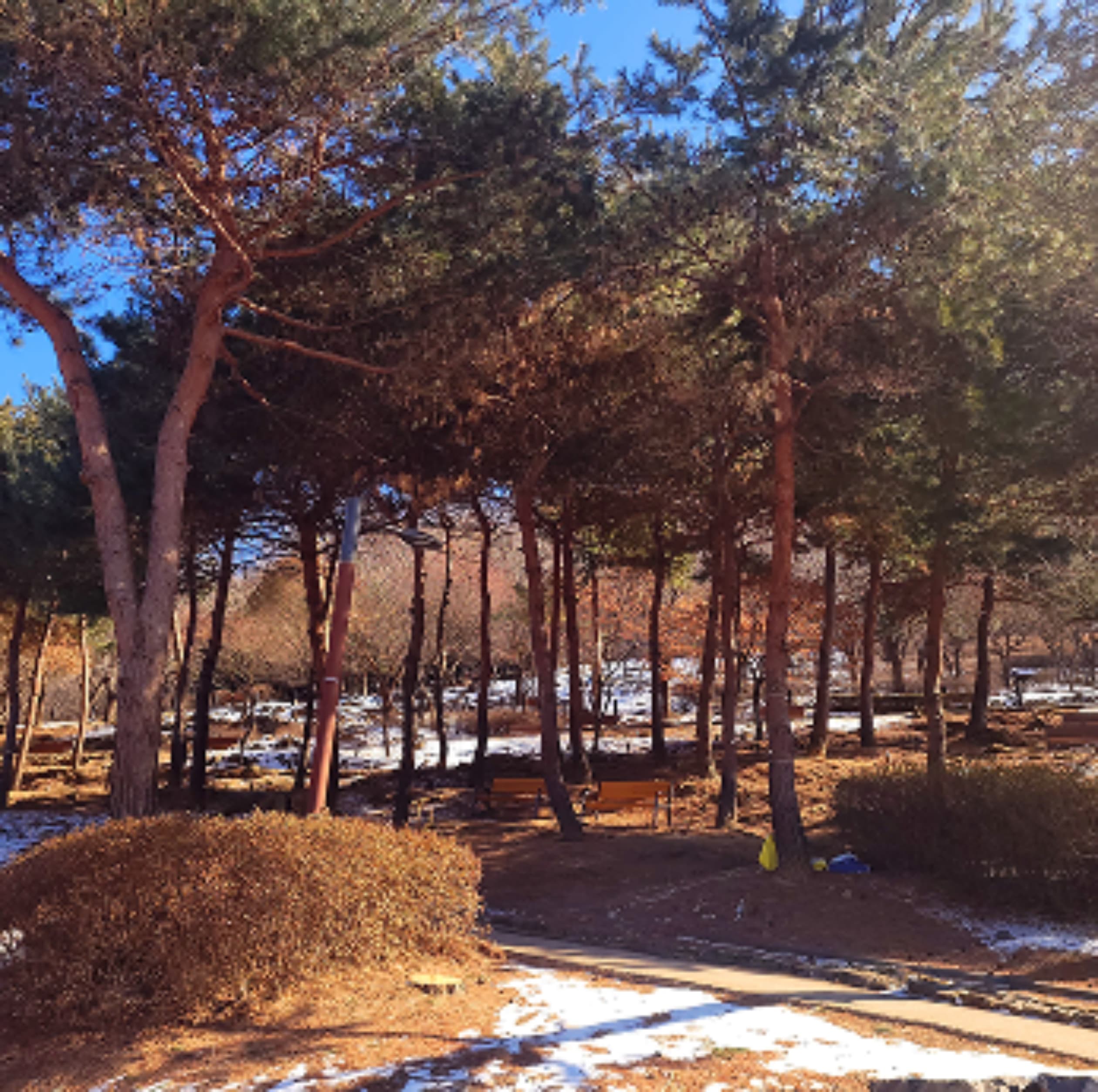 배밭공원