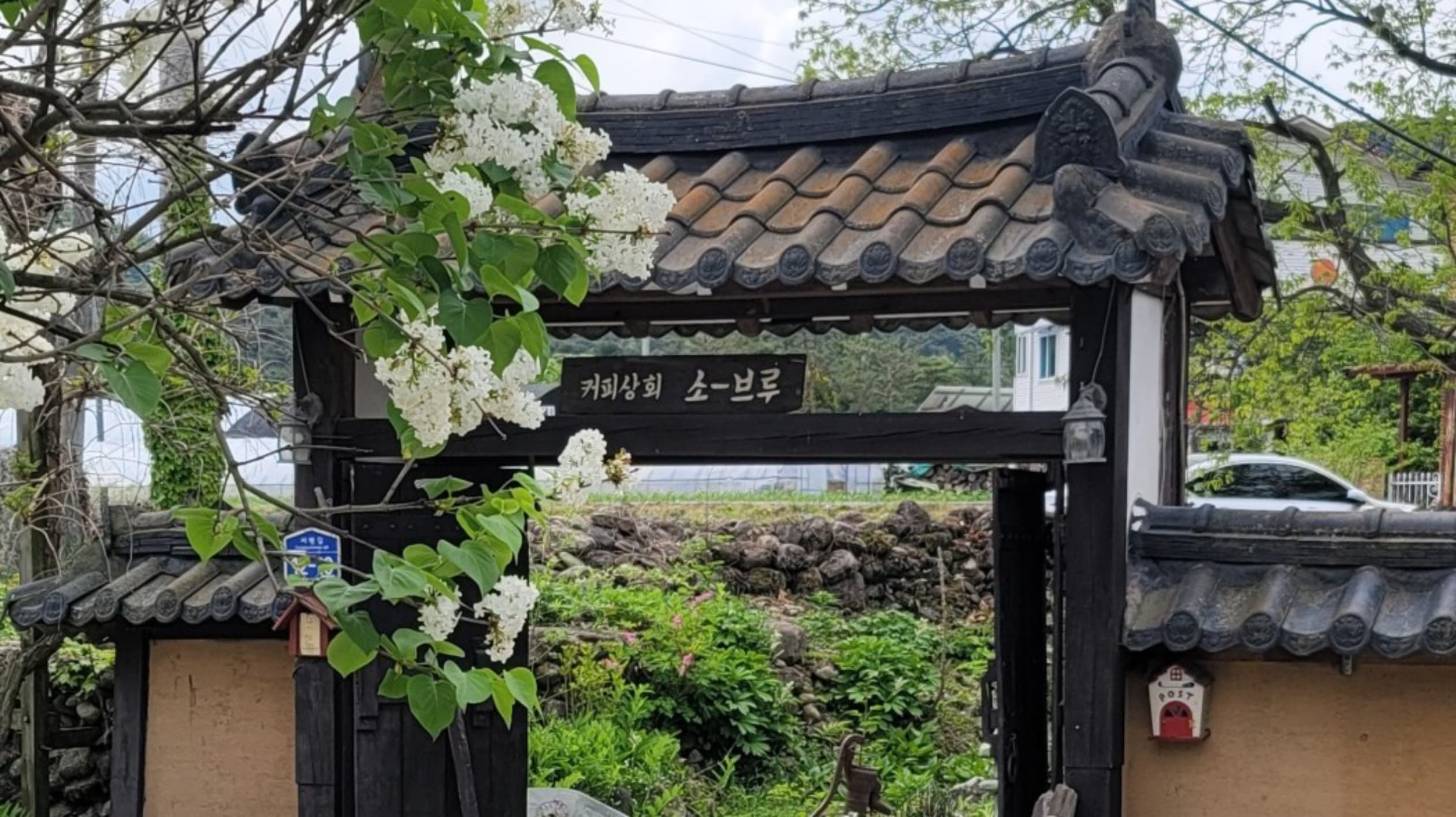 소브루