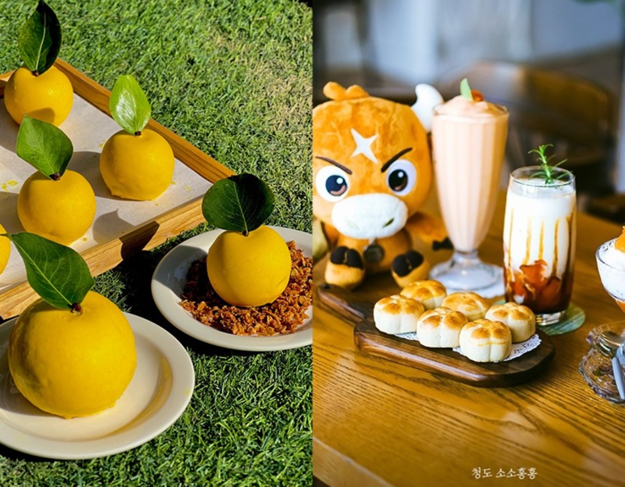 입안 가득 가을이 스며드는 전국 제철 과일 디저트🍎 by. 주이