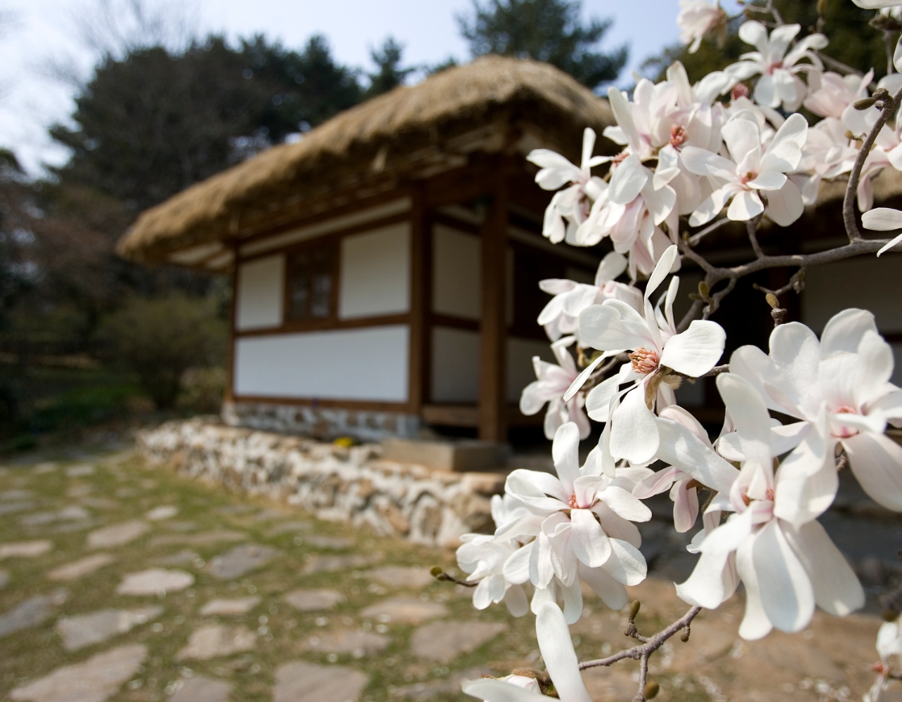 정원 딸린 단독 주택에서 하룻밤🏡 수목원 가든 스테이