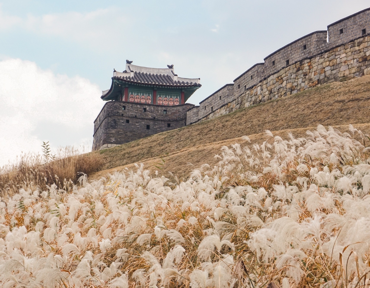 지금 가면 딱 좋은 시기! 수원 뚜벅이 여행지4