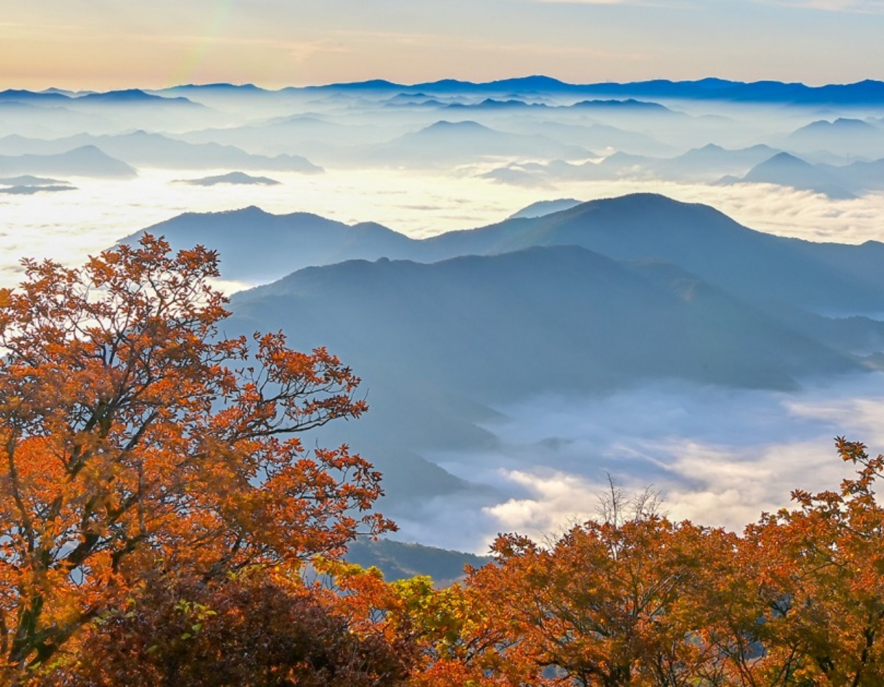 가을 단풍 여행 막차! 지금 떠나보자|정선 가리왕산 하루 코스 🚆