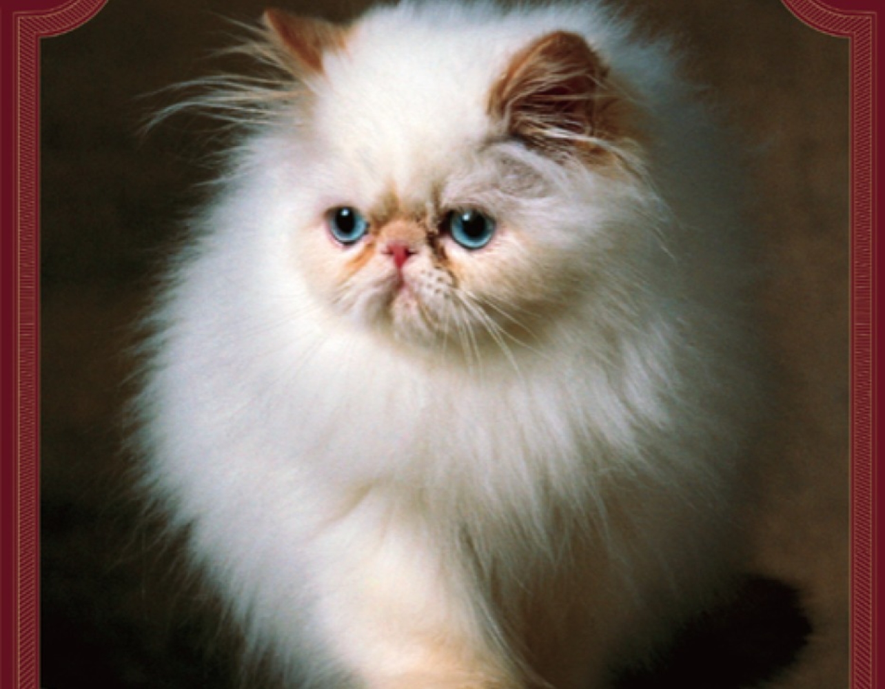 추운 겨울을 녹이는 따수운 얼리버드 전시