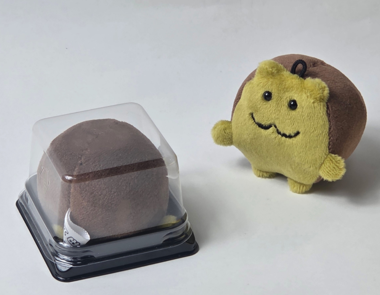 내 취향은 내가 제일 잘 알지🧸 취향을 만드는 이색 클래스