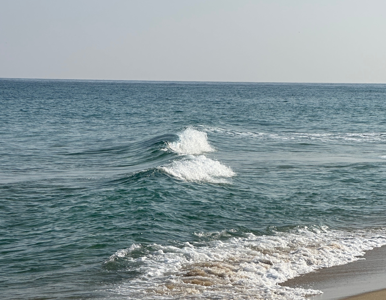 혼자라서 행복해🌊 나홀로 강릉 여행 코스
