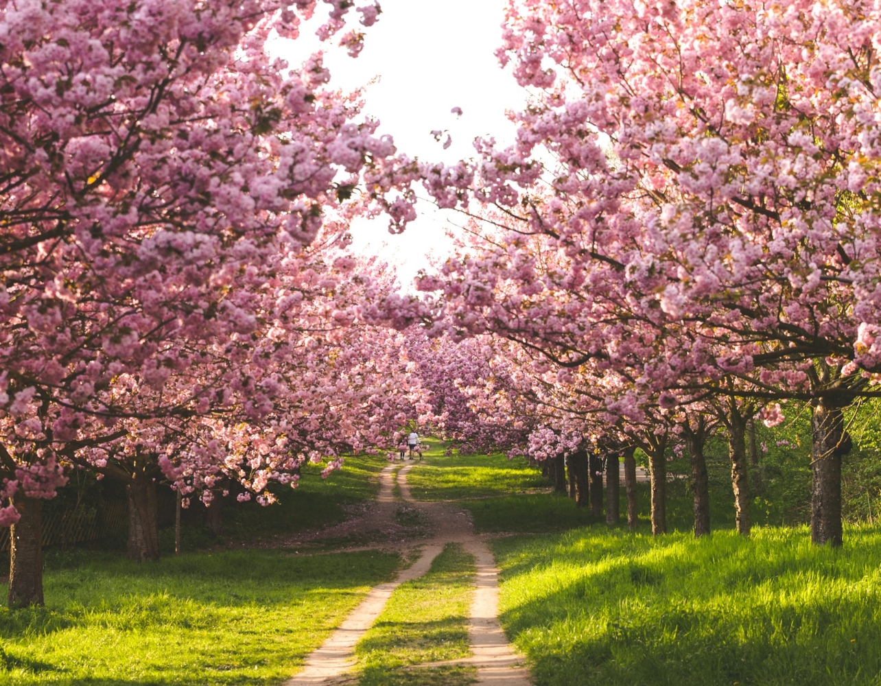 랭랭이의 '봄'킷리스트는? 제철코어 투두리스트🌸