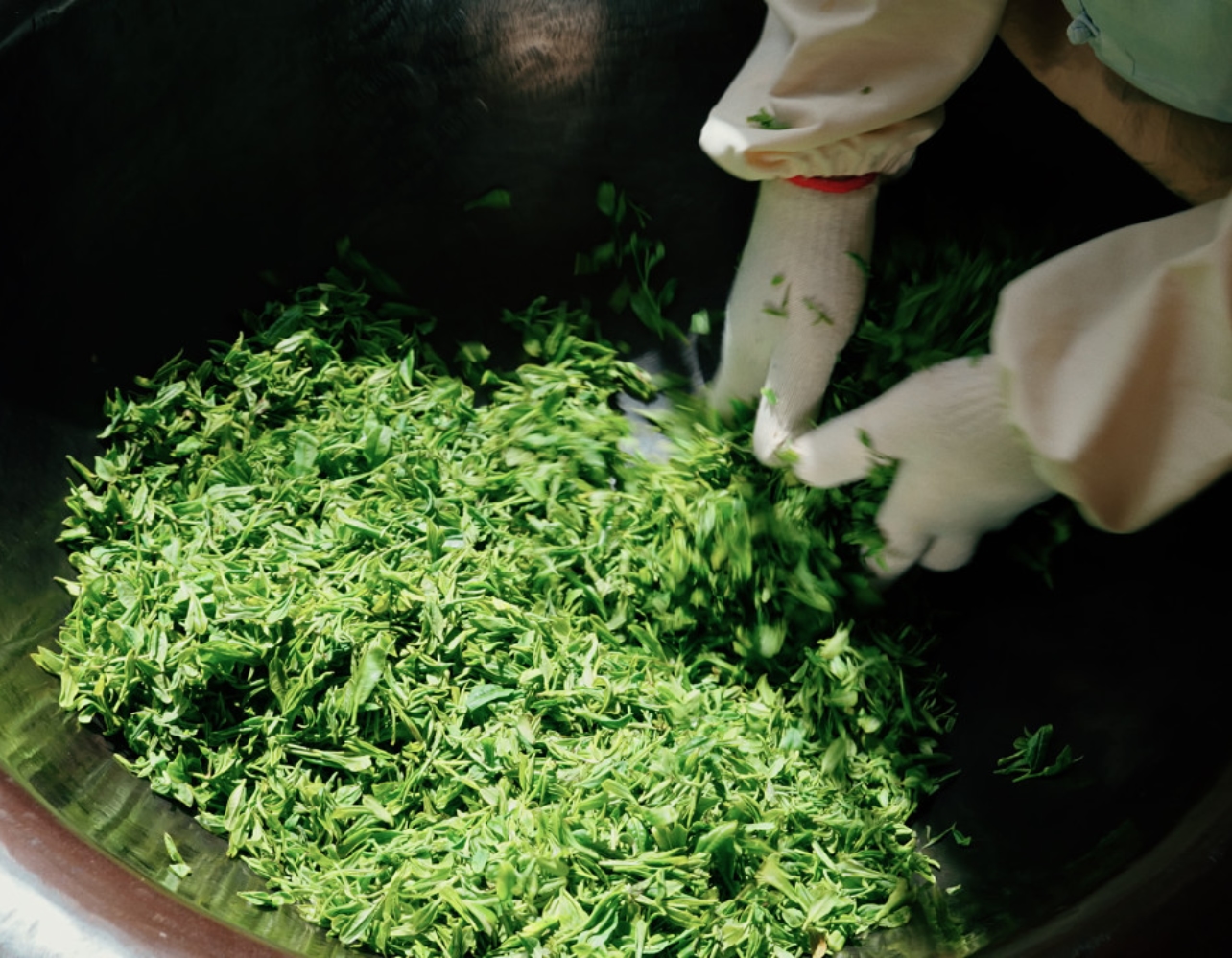 연둣빛 차밭으로 풍덩! 하동으로 떠나는 봄 여행 🍵