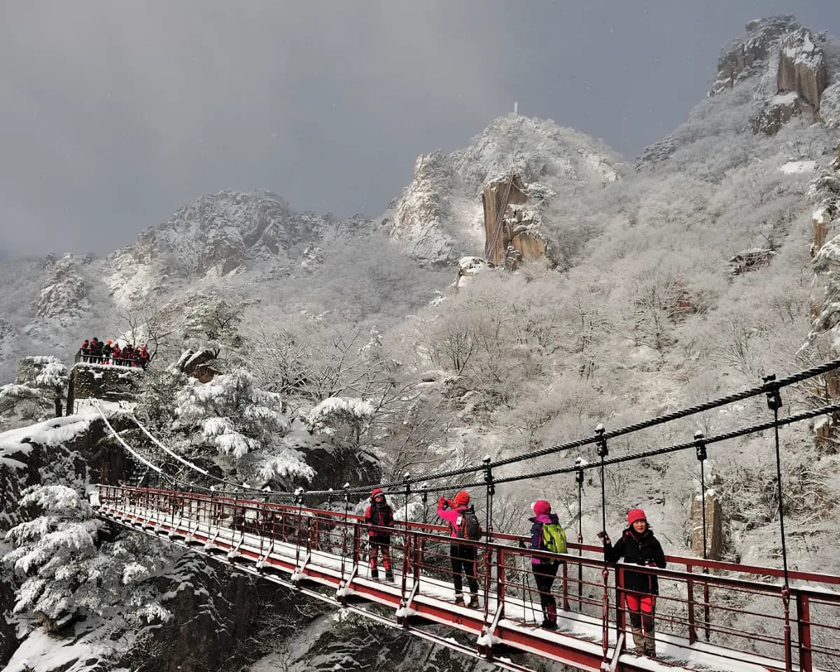 케이블카 타고 만나는 대둔산 설경 기차여행