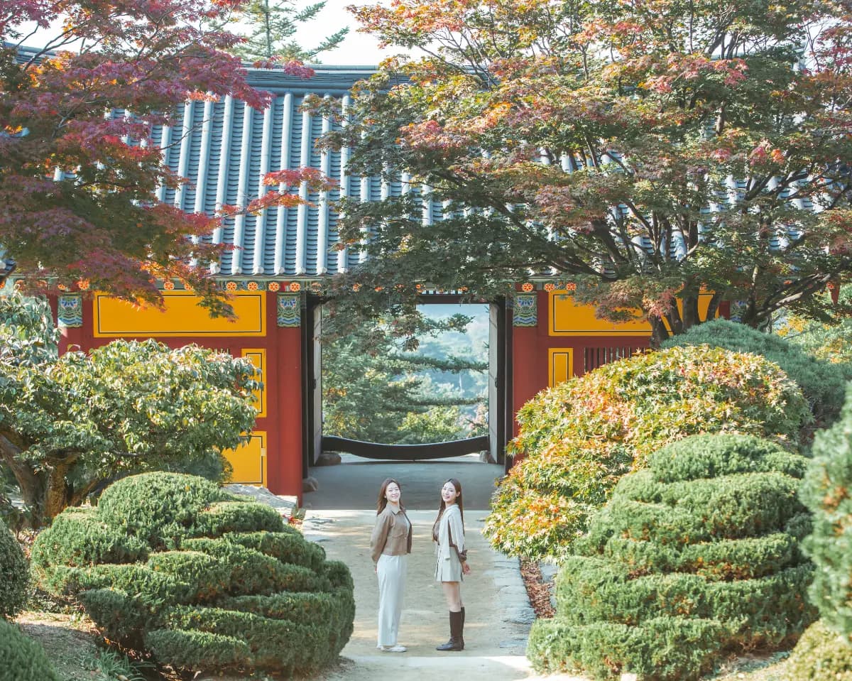 올해 단풍 놀이는 이걸로 끝! 영주 당일치기 여행