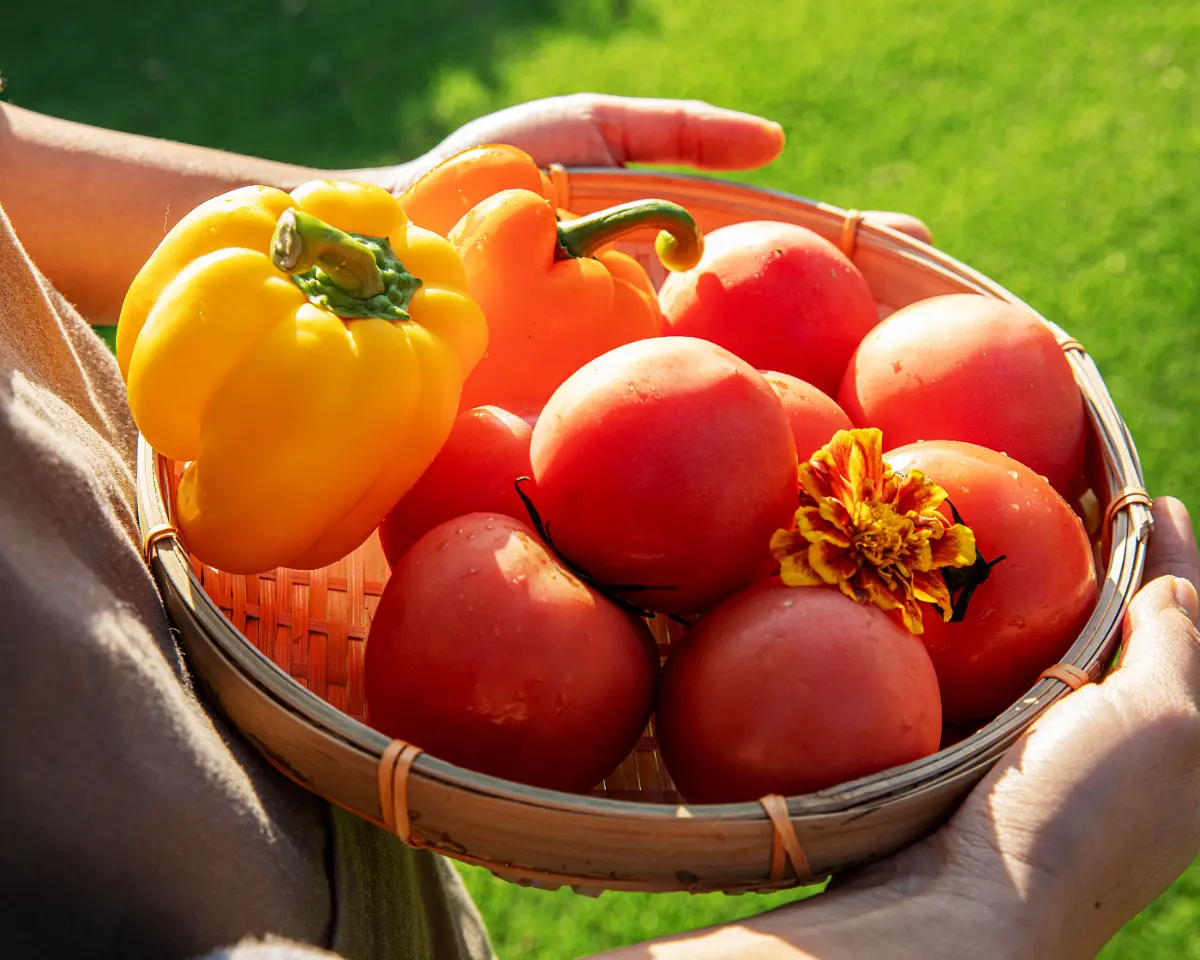 도시의 속도에 지쳤다면, 하루쯤 강진 시골살이