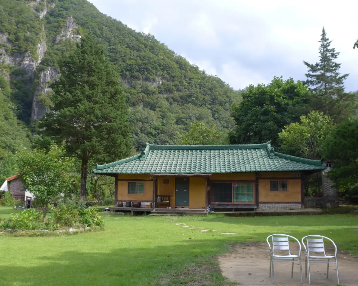 삼시세끼 꽉꽉 배 채우기! 정선 식도락 여행