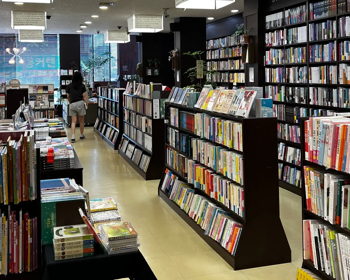 책과 바다, 완벽한 휴식이 기다리는 속초 여행