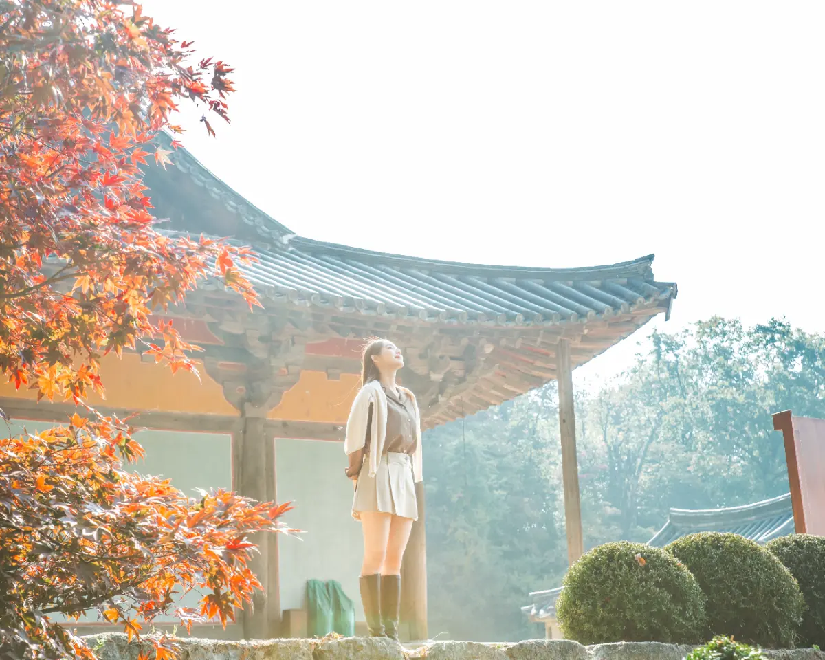 올해 단풍 놀이는 이걸로 끝! 영주 당일치기 여행