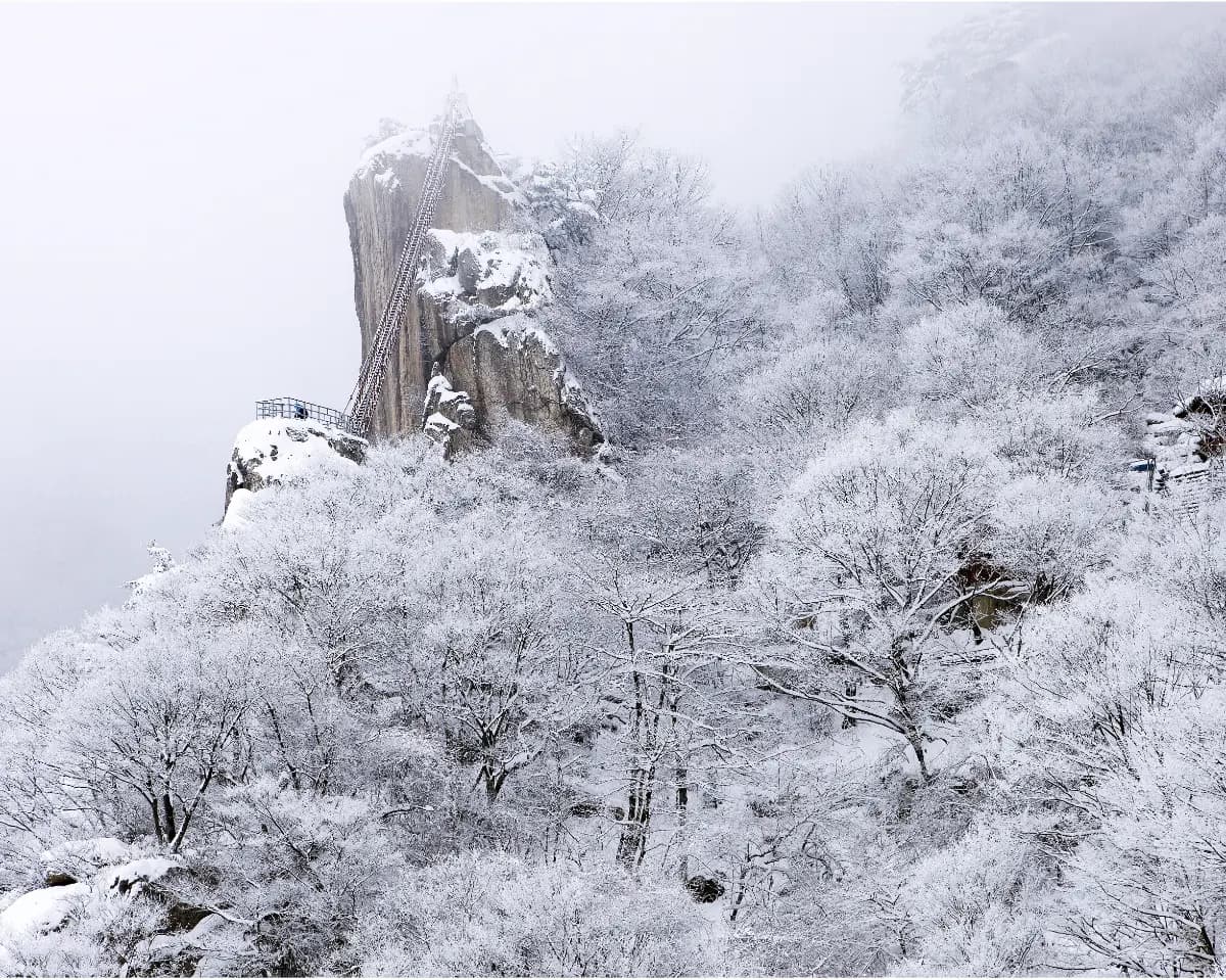 케이블카 타고 만나는 대둔산 설경 기차여행