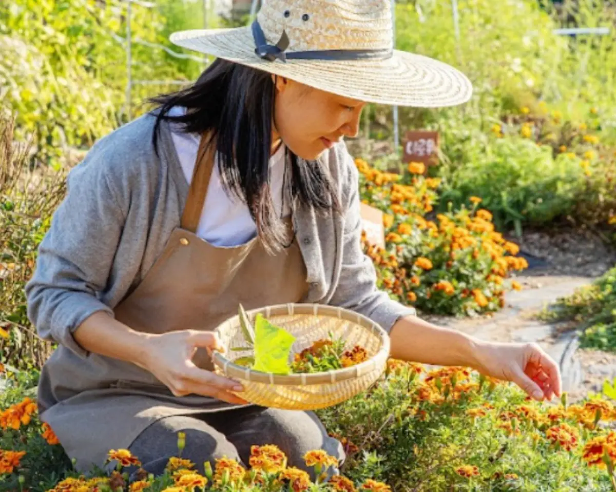 도시의 속도에 지쳤다면, 하루쯤 강진 시골살이