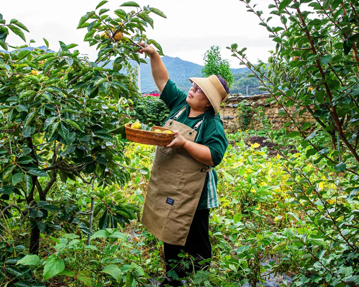 도시의 속도에 지쳤다면, 하루쯤 강진 시골살이