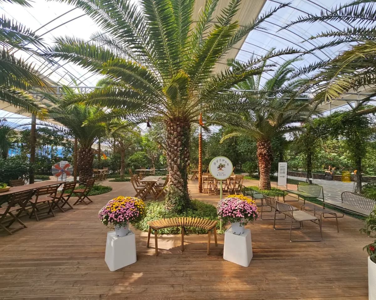 케이블카 타고 만나는 대둔산 설경 기차여행