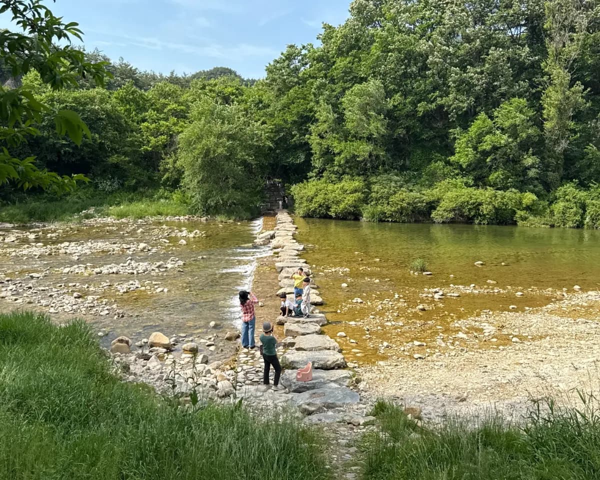 삼시세끼 꽉꽉 배 채우기! 정선 식도락 여행