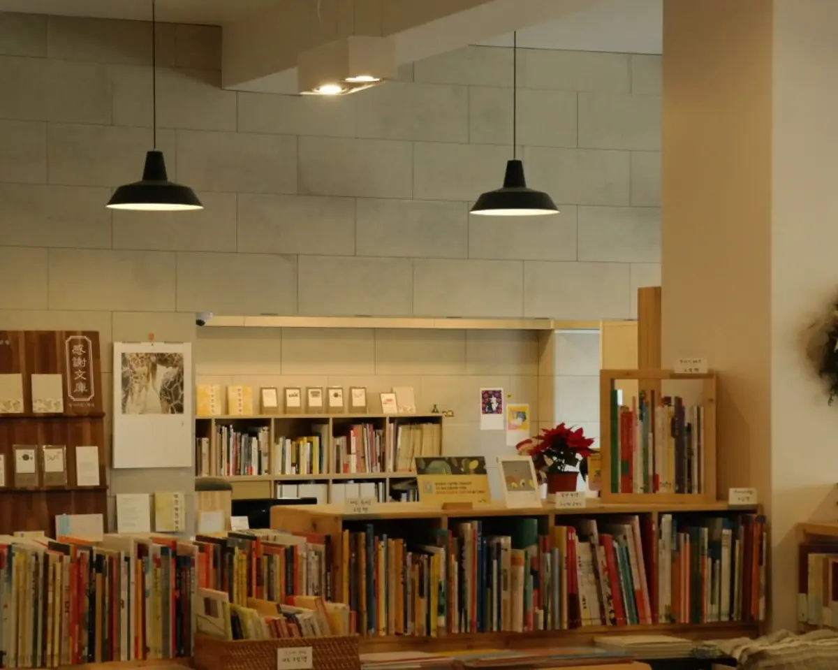 책과 바다, 완벽한 휴식이 기다리는 속초 여행