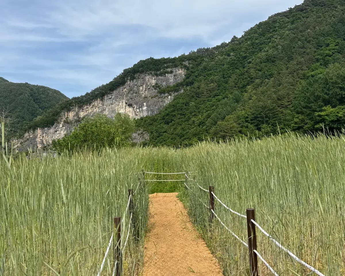 삼시세끼 꽉꽉 배 채우기! 정선 식도락 여행