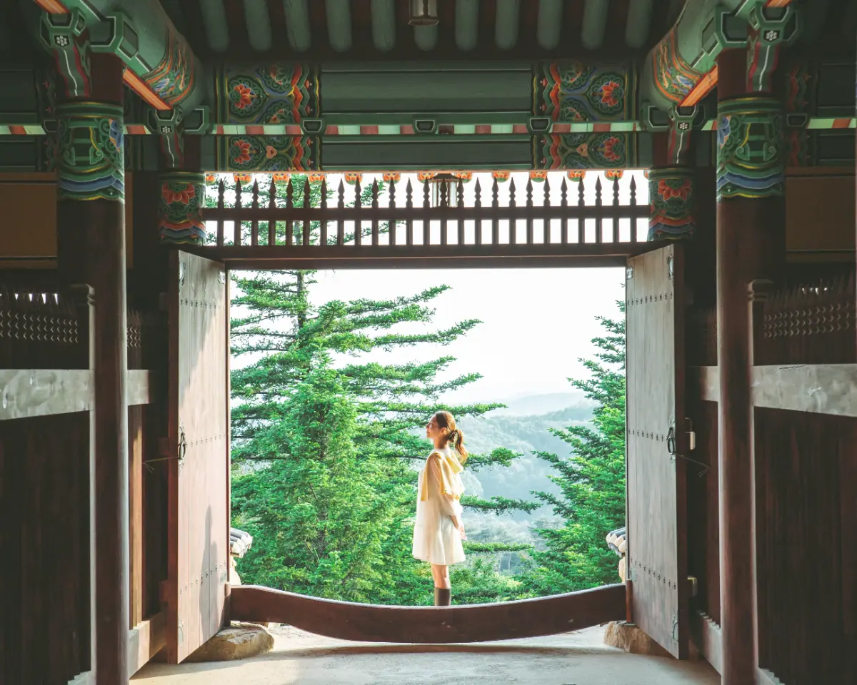 올해 단풍 놀이는 이걸로 끝! 영주 당일치기 여행