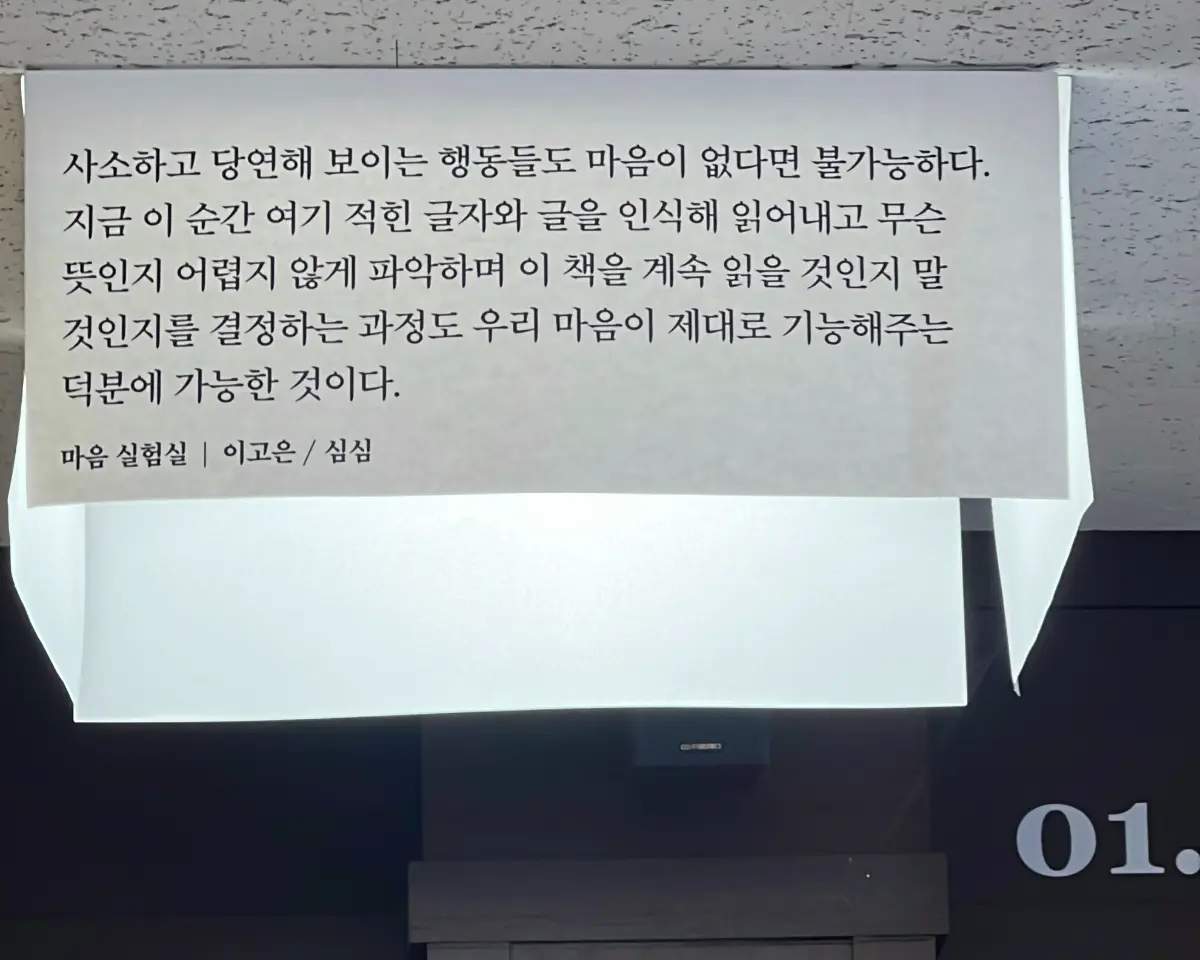책과 바다, 완벽한 휴식이 기다리는 속초 여행