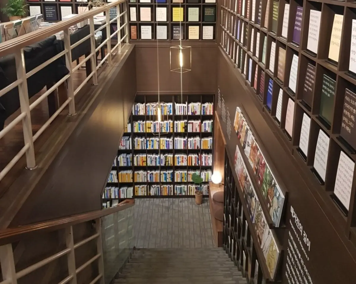 책과 바다, 완벽한 휴식이 기다리는 속초 여행