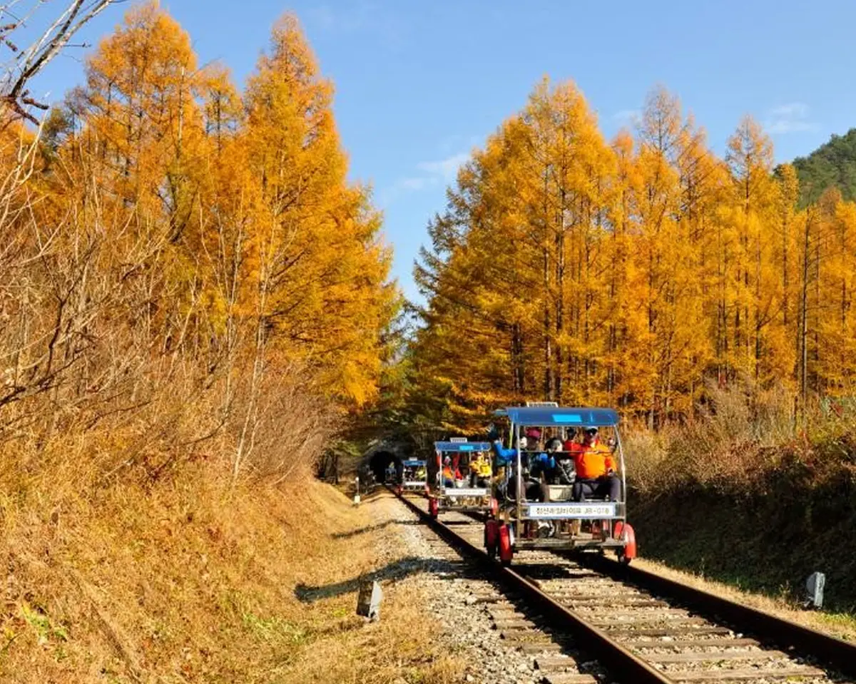 가을 풍경 속으로, 정선 단풍 당일치기 여행
