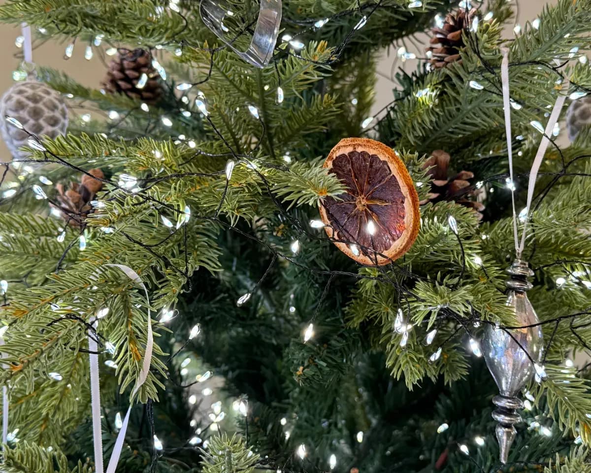 알고 먹으면 더 맛있는 치즈, 내 취향을 찾아요