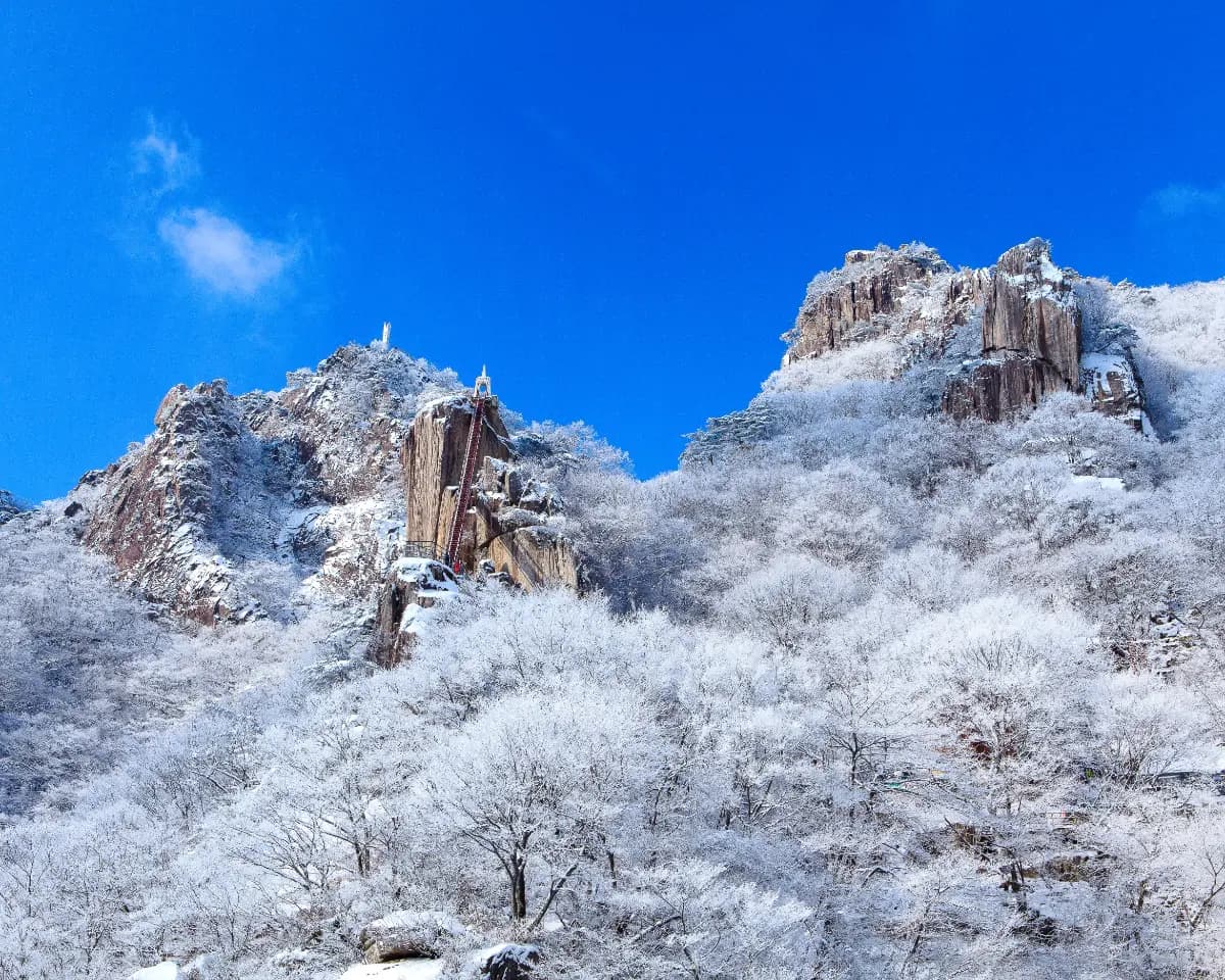 케이블카 타고 만나는 대둔산 설경 기차여행