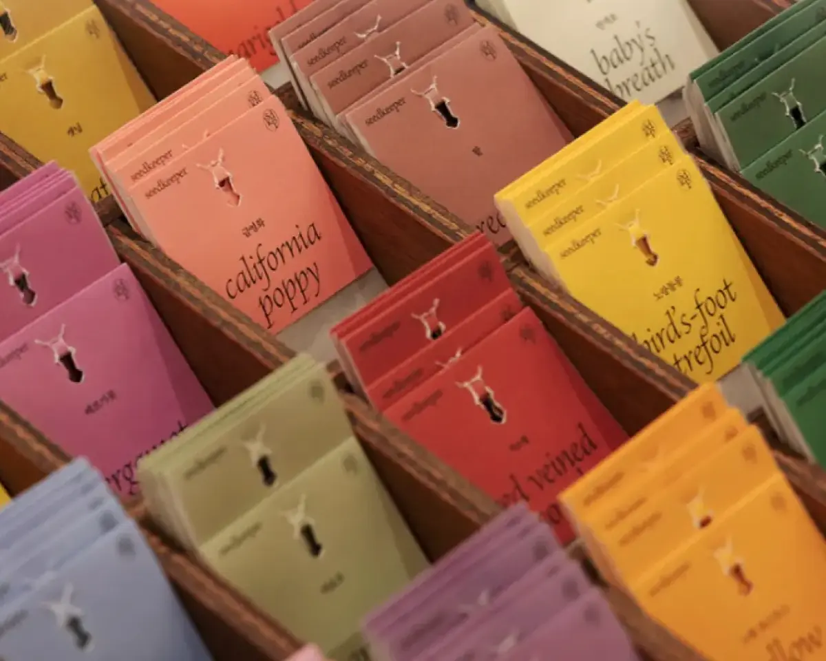 내년을 함께 할, 나와 닮은 반려 씨앗을 만나요