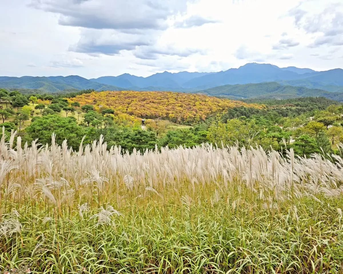 뚜벅이도 갈 수 있어! 대구 사유의 미학 투어