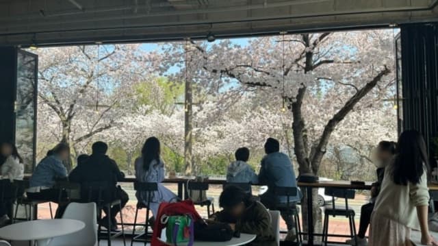 야드